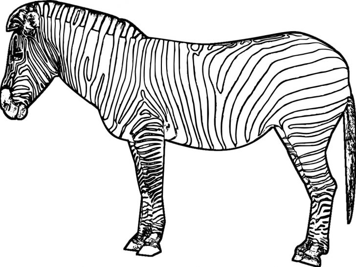 Zebra Coloring Pages Exclusive Zebra Colouring Page Last Chance Color 19 Animals Zebra Coloring Pages Exclusive Zebra Colouring Page Last Chance Color 19 Animals