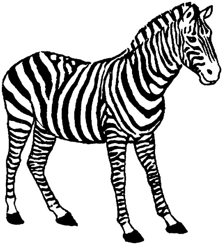 Zebra Coloring Pages Free Zebra Coloring Pages Zebra Coloring Pages Free Zebra Coloring Pages