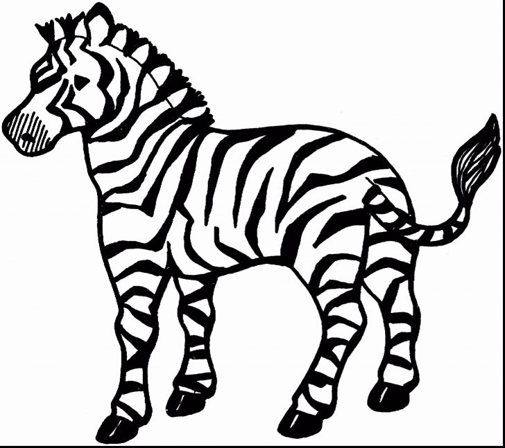 Zebra Coloring Pages Marty The Zebra Coloring Pages Fresh Amazing Book And Cute Ba Zebra Coloring Pages Marty The Zebra Coloring Pages Fresh Amazing Book And Cute Ba