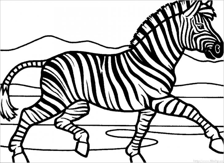 Zebra Coloring Pages Zebra Color Page Coloring Pages 6 Printable New Zebras Luxury Free Zebra Coloring Pages Zebra Color Page Coloring Pages 6 Printable New Zebras Luxury Free