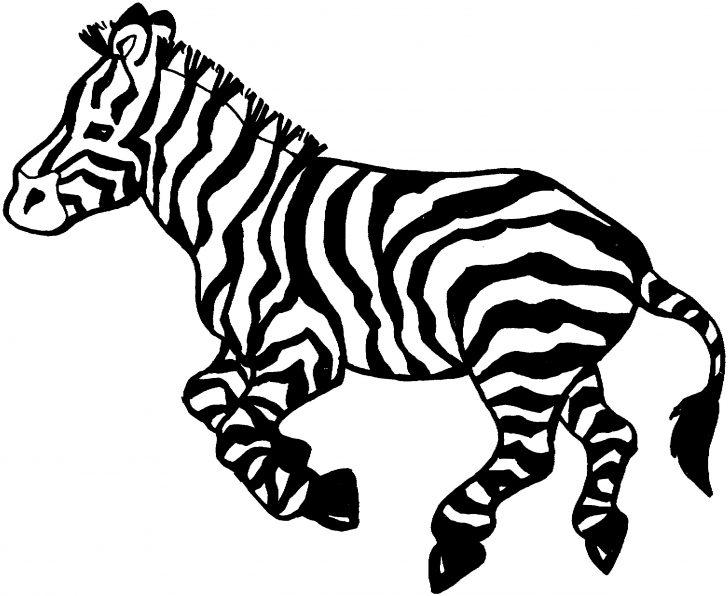 Zebra Coloring Pages Zebra Coloring Pages New Free Euro Print Co 23431919 Attachments Zebra Coloring Pages Zebra Coloring Pages New Free Euro Print Co 23431919 Attachments