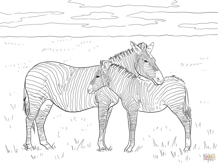 Zebra Coloring Pages Zebra Coloring Pages Telematik Institut Zebra Coloring Pages Zebra Coloring Pages Telematik Institut