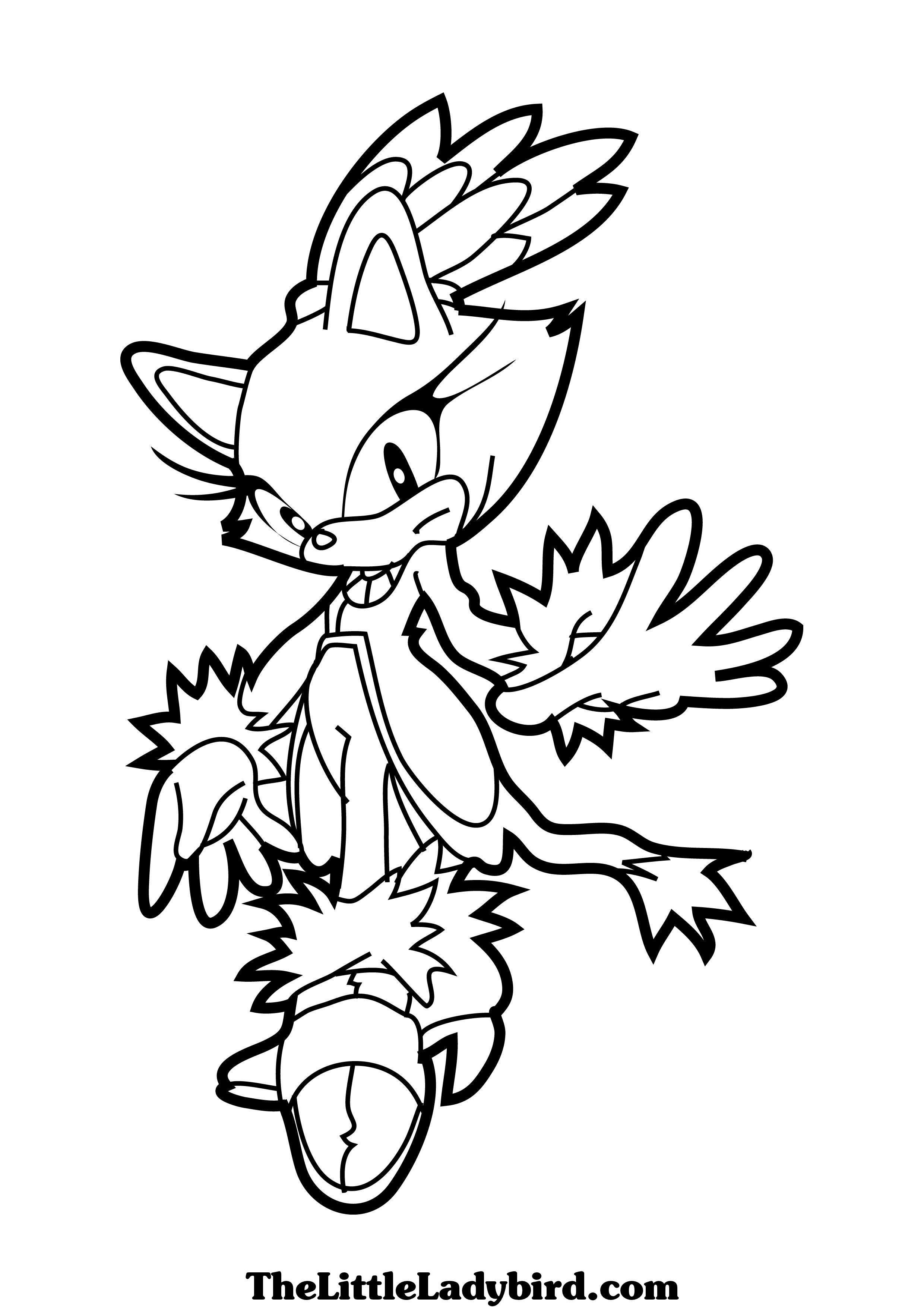 Sonic The Hedgehog Coloring Pages Blaze Coloring Pages