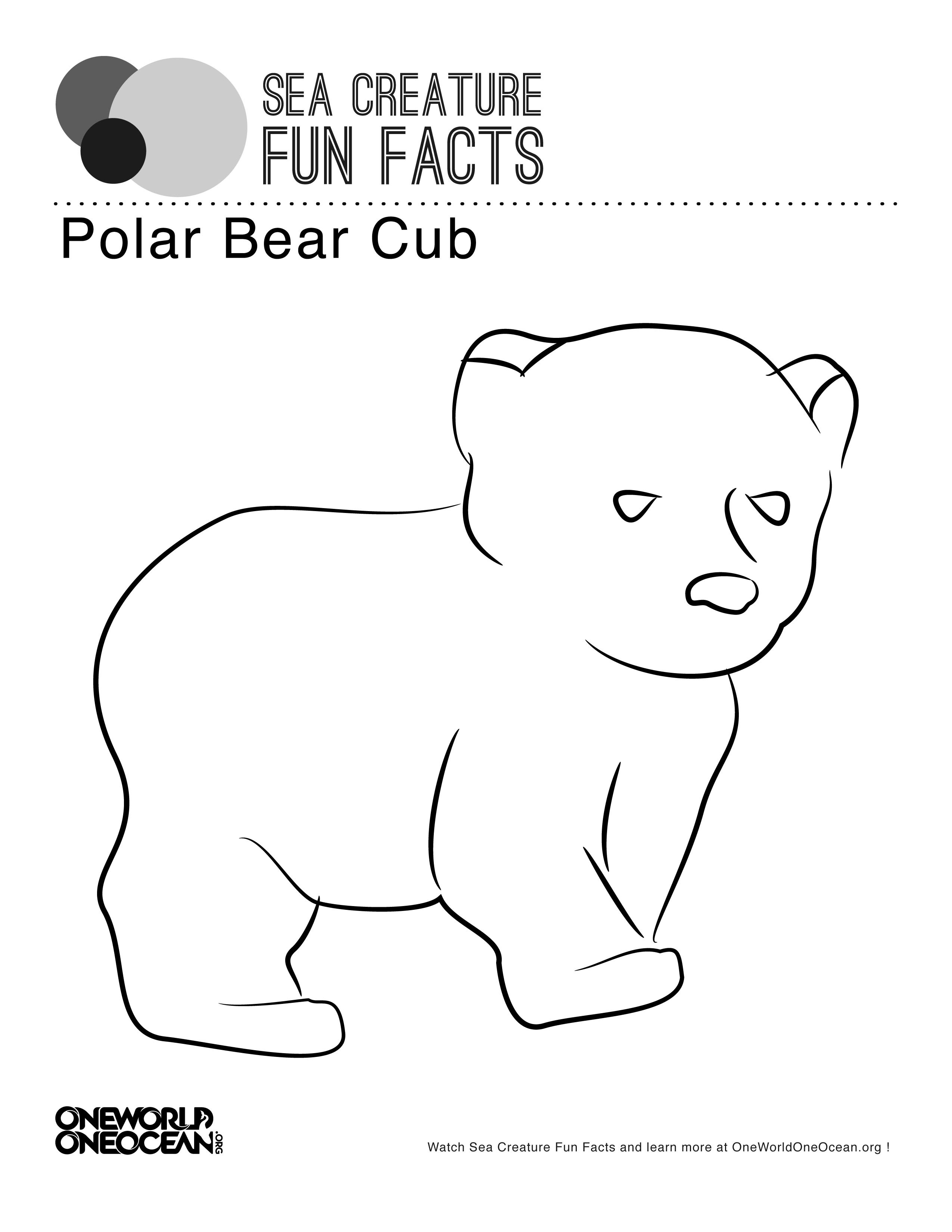 27+ Pretty Picture of Brown Bear Brown Bear Coloring Pages