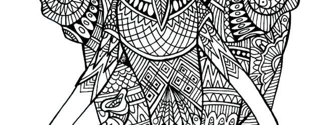Elephant Adult Coloring Pages Elephant Patterns Elephants Adult Coloring Pages