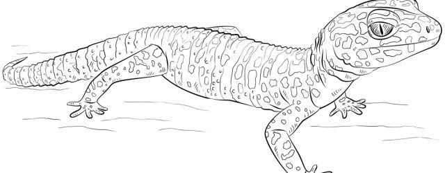 Gecko Coloring Page Leopard Gecko Coloring Page Free Printable Coloring Pages