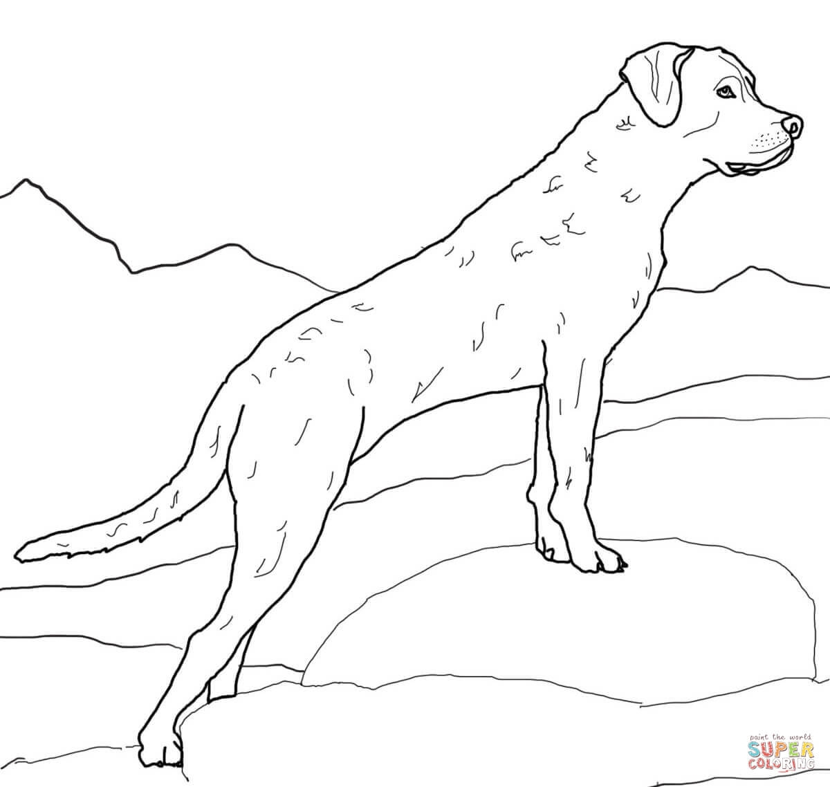 27+ Amazing Picture of Golden Retriever Coloring Page - albanysinsanity.com