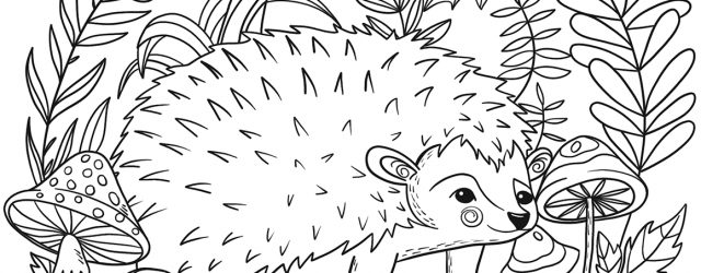 Hedgehog Coloring Page Hedgehog Coloring Page Free Printable Coloring Pages