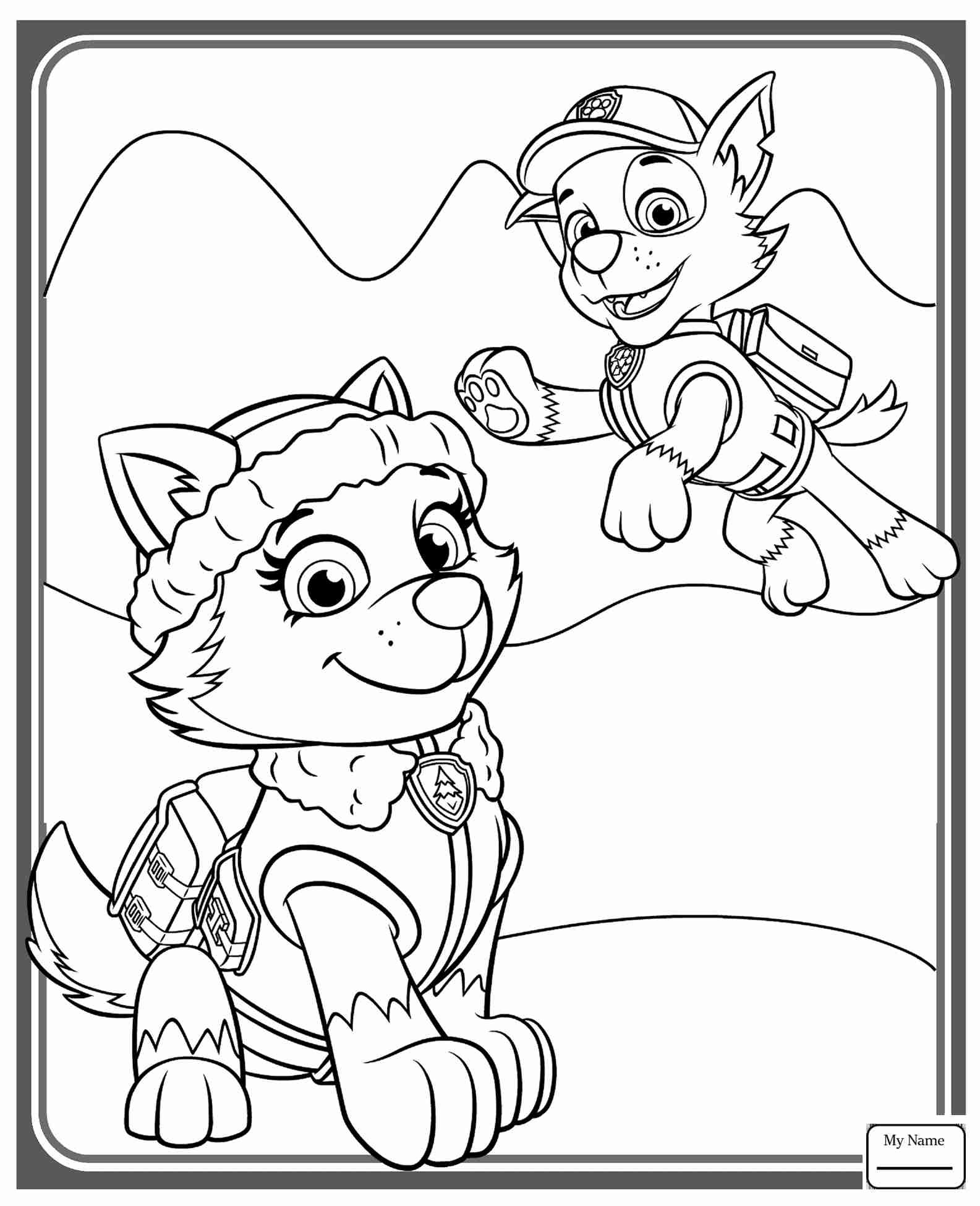 30+ Amazing Photo of Paw Patrol Coloring Pages