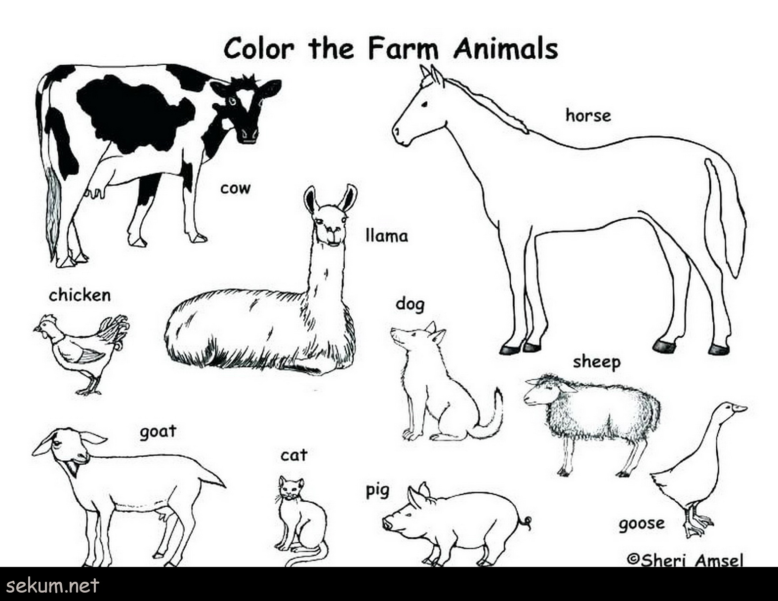 25+ Amazing Picture of Printable Animal Coloring Pages