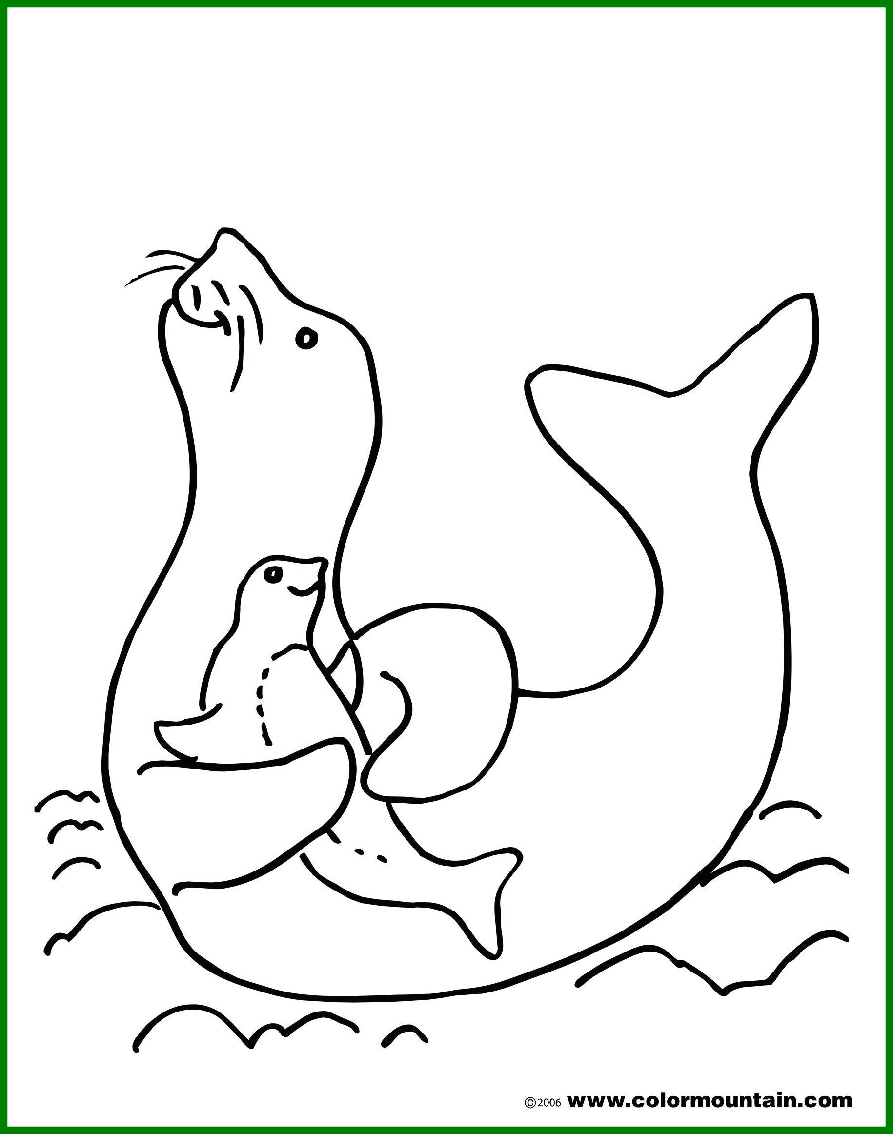 Exclusive Picture of Seal Coloring Pages - albanysinsanity.com