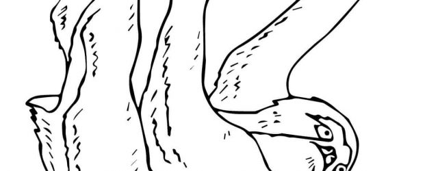 Sloth Coloring Page Sloths Coloring Pages Free Coloring Pages